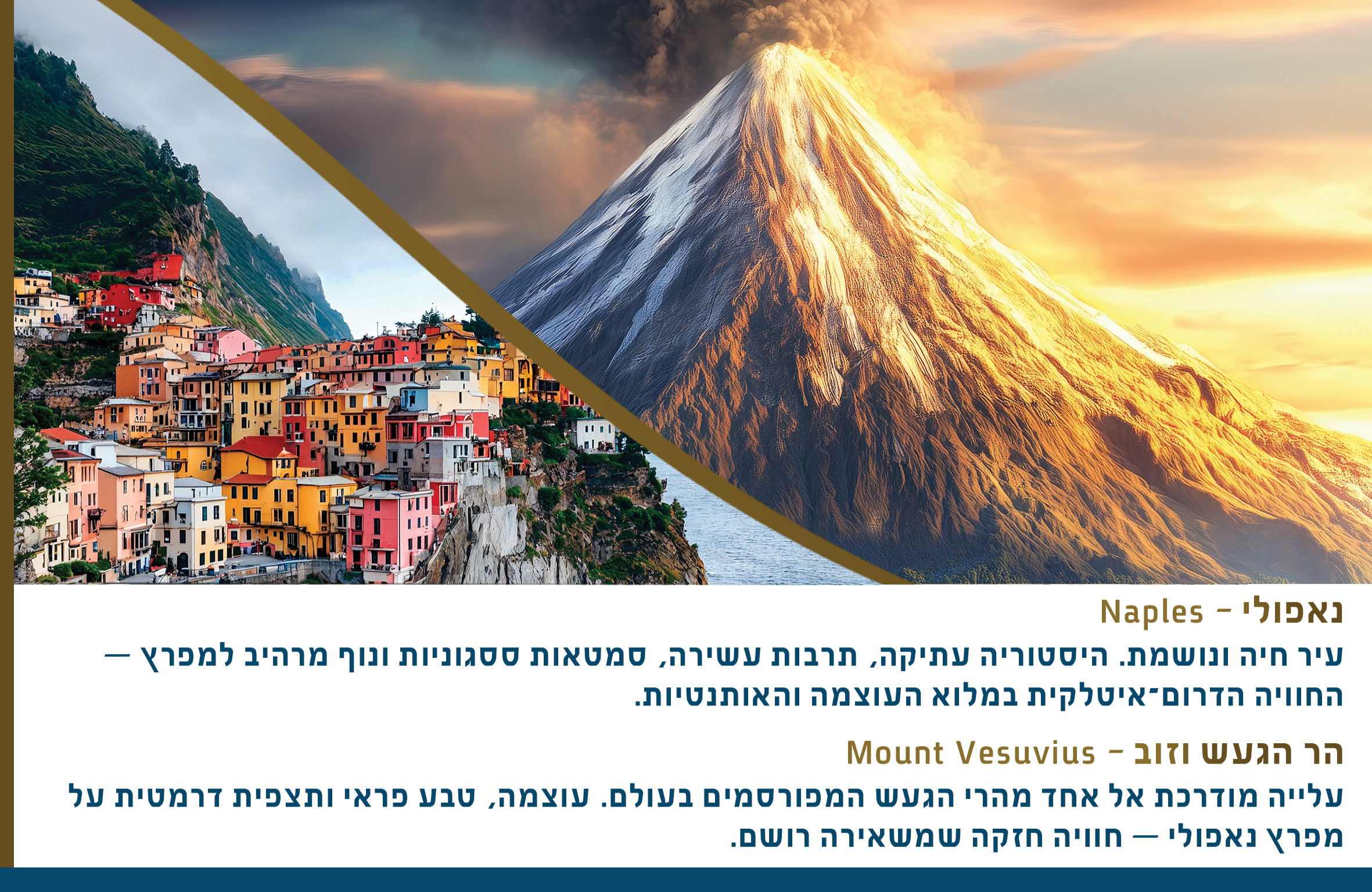 קטלוג פסח תשפ''ו10