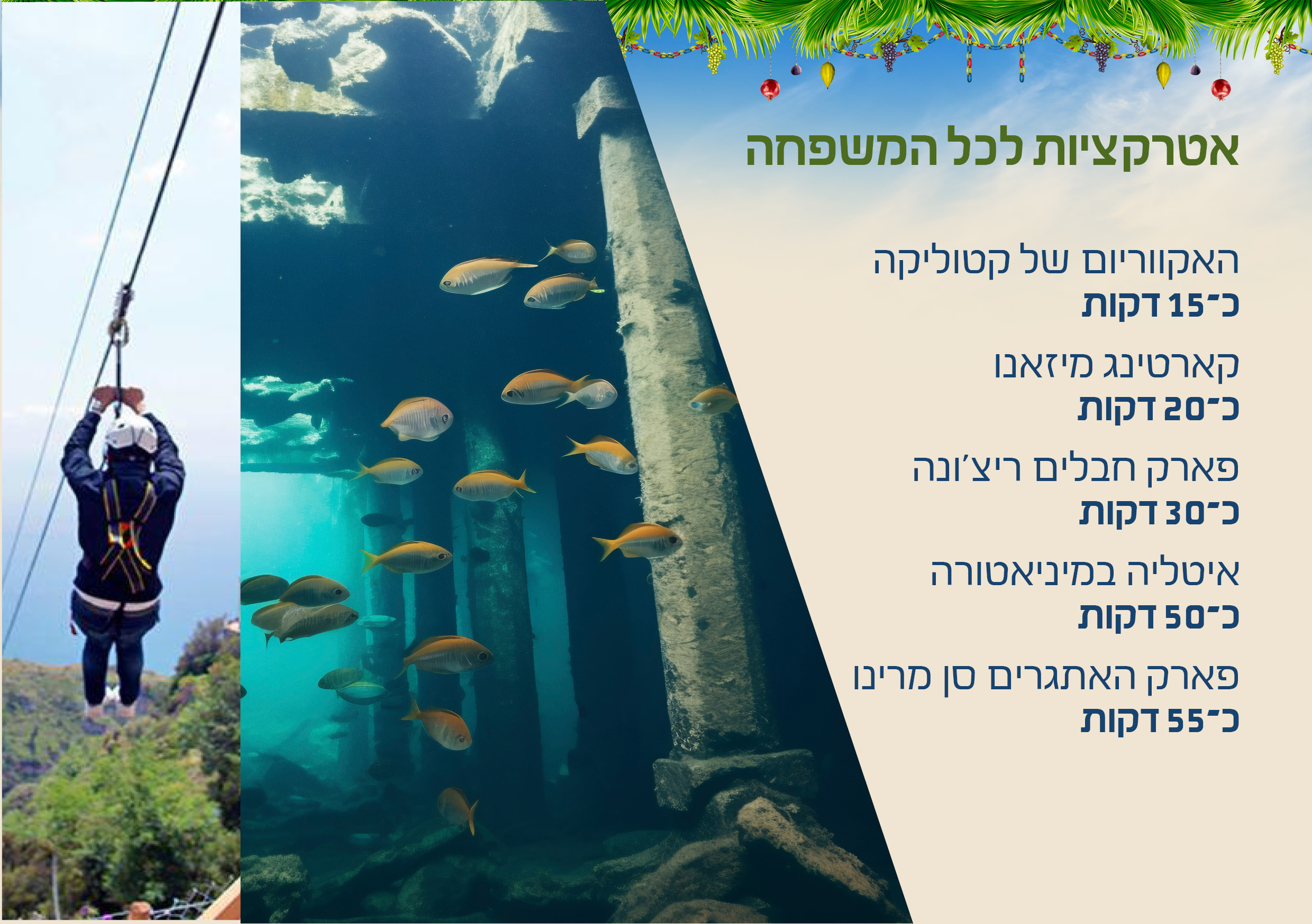 מדריך סוכות 20269