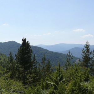 rhodope-mountains-panorama-1365596